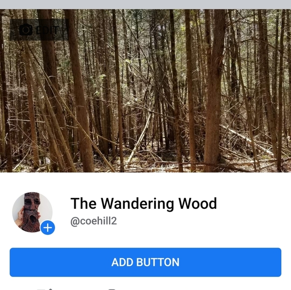 Wood spirits - Picture 3 of 3